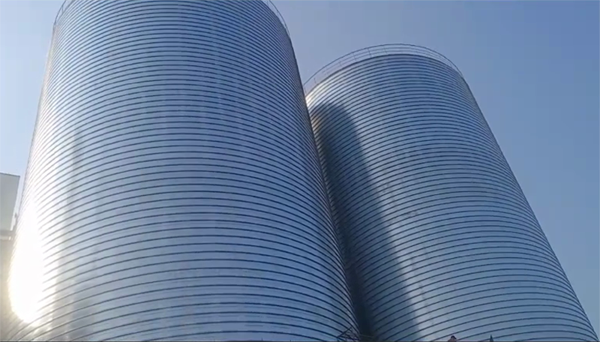 惠东2座混凝土高架卷板仓